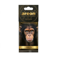 Areon Wild - Professor