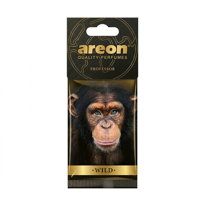 Areon Wild - Professor